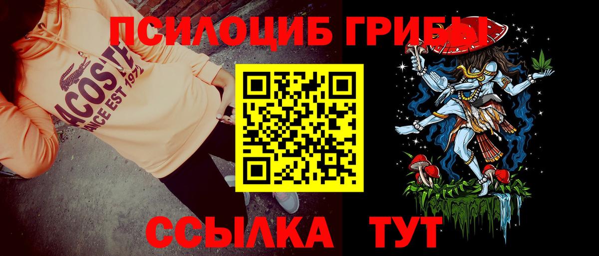 Псилоцибиновые грибы MAGIC MUSHROOMS Новокубанск