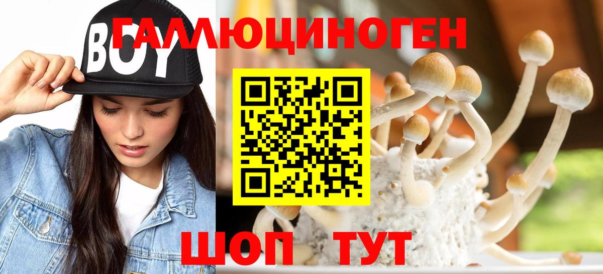 Галлюциногенные грибы MAGIC MUSHROOMS  Вход с VPN  Новокубанск  Галлюциногенные грибы Magic Shrooms 